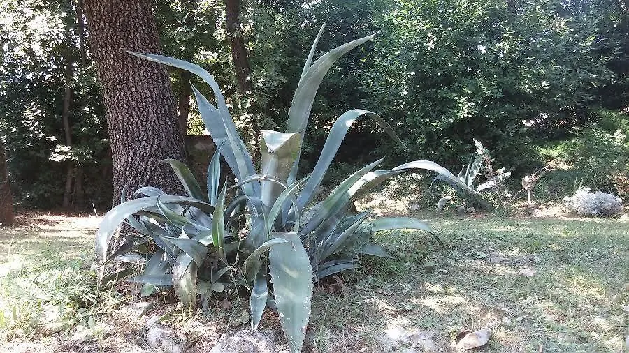 Apartments Green Garden Opatija